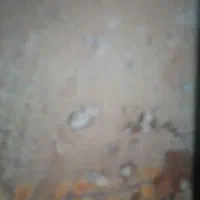 کود کشاورزی