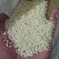 برنج طارم هاشمی با تضمین برگشت کالا|خوردنی و آشامیدنی|تهران, آشتیانی|دیوار