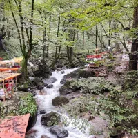 سواری دربستی رایگان برای مسافرت خانواده نیازمند