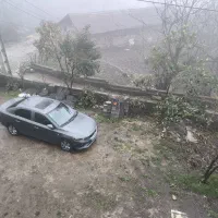 دربستی به تمام نقاط ایران با تارا