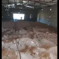 سالن دامداری شخصی سازی شده|فروش دفتر صنعتی، کشاورزی، تجاری|کندوان, |دیوار