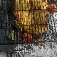 بیرون برمرغ کوبیده جوجه خورشت استانبولی قیمت مناسب|خدمات پذیرایی، مراسم|شهرضا, |دیوار