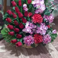 گلهای زیبا برای قدم نورسیده