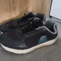 کفش زنانه|کیف، کفش، کمربند|مشهد, شهید قربانی|دیوار