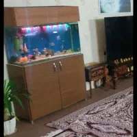 اکواریوم  درحد نوشرکتی شیشه خم همراه میز ام دی اف