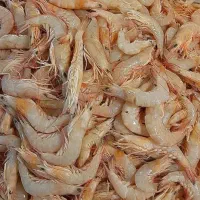 میگو دریایی هندیجان ارسال رایگان