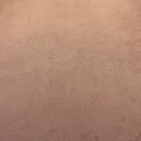پالاز ۱۲متری