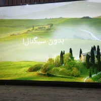 تلویزیون ۵۵ دوو