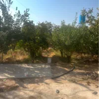 باغ دوکوهک کوچه یاس ۲ ۲۰۰۰ متری|فروش خانه و ویلا|شیراز, شهرک قمشه|دیوار