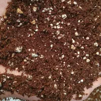 کوکوپیت بسته ای