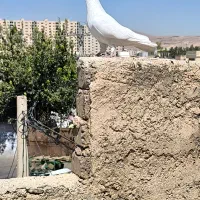 فروش فوری زیر قیمت|پرنده|شیراز, سهل‌آباد|دیوار