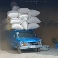 خرید و فروش کاه باقیمت روز|حیوانات مزرعه|قیدار, |دیوار