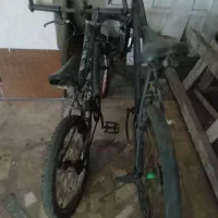 دوعدد دوچرخه بفروش میرسد