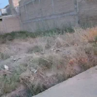 فروش زمین لالی خیابان شاهرخ محمدی فرعی ۱