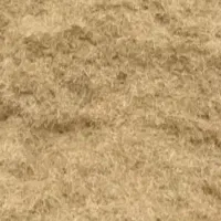 کاه گندم