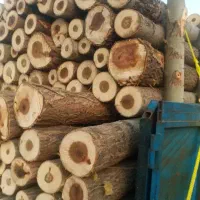 خریدار چوب تر و خشک