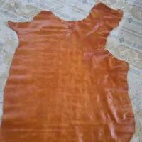 پوست گاوی