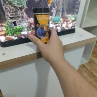 لوازم آکواریوم|ماهی|کرج, کوی فرهنگ|دیوار