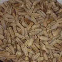 پودر هسته خرما