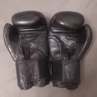 دستکش بوکس Everlast|تجهیزات ورزشی|فردیس, طالقانی|دیوار