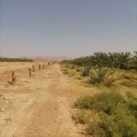موتور آب|فروش زمین و ملک کلنگی|ارزوئیه, |دیوار