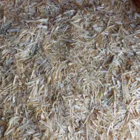 کاه گندم دیم|خدمات باغبانی و درختکاری|گرمخان, |دیوار