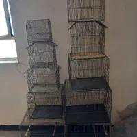 طوطیملنگو وتعدادی قفس|پرنده|کارون, |دیوار