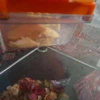 رنده|خردکن، آسیاب، غذاساز|میانه, |دیوار