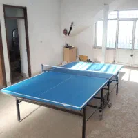 میز پینگ پنگ