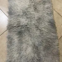 پا دری تمیز و نو