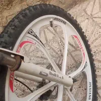 دوچرخه|دوچرخه، اسکیت، اسکوتر|خلخال, |دیوار