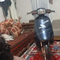پاکشتی|موتورسیکلت|شیراز, باهنر|دیوار