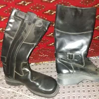 معاوضه باعروس هلندی