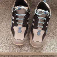 کفش|کیف، کفش، کمربند|بوشهر, |دیوار