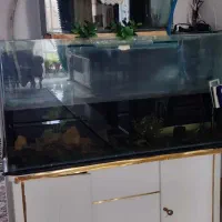 آکواریوم شرکتی