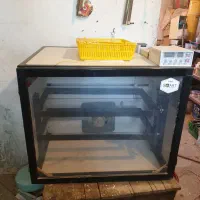 دستگاه جوجه کشی ۲۵۲ تایی اسکندری