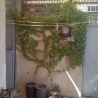 خانه دربستی ۱۲۰ متری