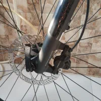 جاینت سایپرس 2 Giant cypress 2|دوچرخه، اسکیت، اسکوتر|تهران, عباس‌آباد|دیوار