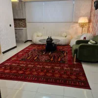 اجاره آپارتمان ۵۲ متری /شریعتی معلم/گوهری/حشمتیه|اجارهٔ آپارتمان|تهران, حشمتیه|دیوار
