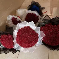 گل ربانی میرال