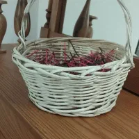جهازنو جاندارم زیرقیمت میفروشم