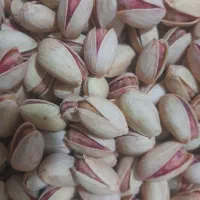 فروش پسته احمدآقایی ۱۲۵۰مقطوع