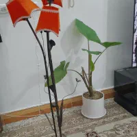 چراغ خواب