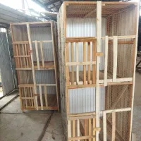 تولیدی// لانه خروس لاری