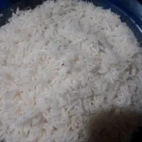 فروش برنج اقتصادی فجر باکیفیت ونیم دانه طارم هاشمی