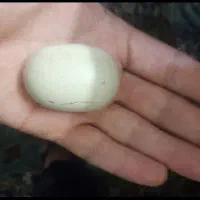 سنگ الماس آسیاب