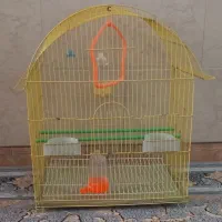 قفس پرنده