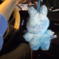 لبوبو اصلی|اسباب‌‌بازی|شاهین‌شهر, عطار|دیوار