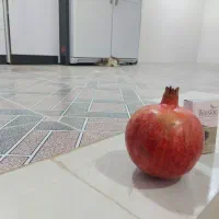 انار درجه دو ویک قیمت پایین|حراج|کوهنانی, |دیوار