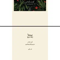 pdf کتاب پی دی اف رمان مجموعه ناتوان ، بی پروا و..